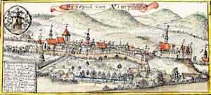 Prospect von Nimptsch - Miasto, widok ogólny